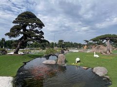 -罗红摄影艺术馆