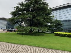 -上海汽车会展中心