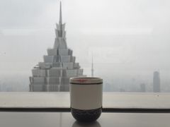 柏悦酒店-上海柏悦酒店