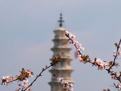 -崇圣寺三塔文化旅游区