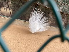 -秦皇岛野生动物园