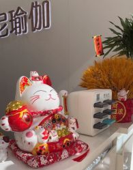 -玛尼瑜伽·普拉提