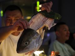 -蝴蝶汇音乐酒馆(罗湖店)