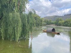 -月亮湾湿地公园