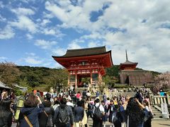 -有栖山 清光院 清水寺