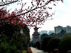 -四川大学(华西校区)