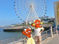 -琴岛之星摩天轮