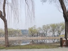 -龙湖星悦荟(颐和店)