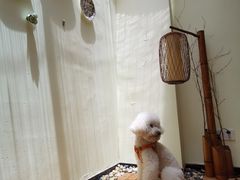 -小草屋轰趴馆别墅派对新场团建家庭聚会