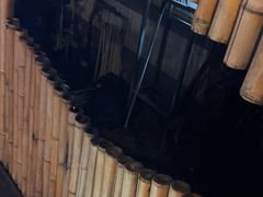 -二荆条·蜀鲜汇城市森林火锅