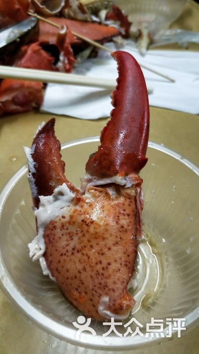 龙虾脚图片 - 第158张