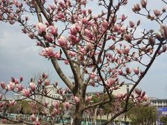 -江南大学(蠡湖校区)
