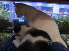 -MIKAKU(万达广场上海宝山店)