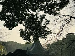 -西园戒幢律寺