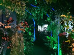 -简奥斯汀·赫本酒吧