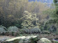 -四洞沟景区