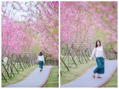 -福建鲤鱼洲酒店