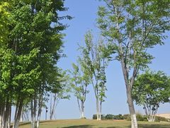 -盘龙城国家考古遗址公园