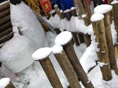 -石林冰雪海洋世界