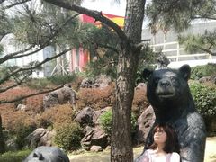 -济州岛泰迪熊博物馆