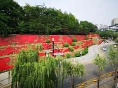 -西安曲江寒窑遗址公园