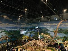 -自贡恐龙博物馆