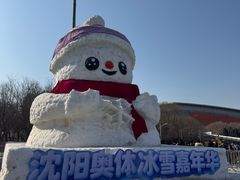 -沈阳奥体冰雪嘉年华