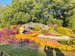 -上海共青森林公园