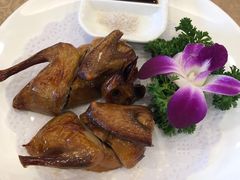 -一品粤珍轩(吴中路店)