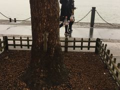 -西湖外事游船(湖滨二公园外事游船码头)