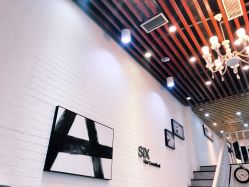 -SIX Hair Consultant