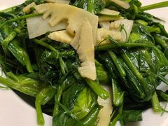 春笋爆豆尖-京尊烤鸭店JINGZUN(春秀路店)