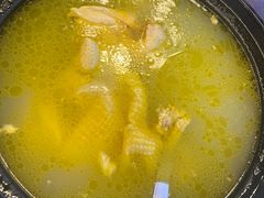 -龙翔山庄雷鸡肉(青城后山泰安古镇店)