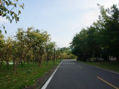 -福建鲤鱼洲酒店