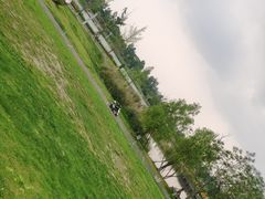 -白鹭湾湿地公园