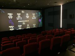 -太平洋影院(西村店)