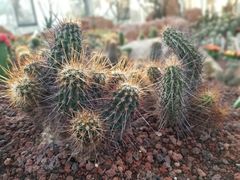 -南通洲际绿博园