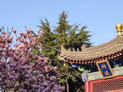 -西安市广仁寺