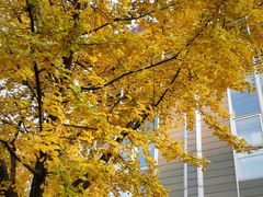 -长江路历史文化街区