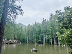 -波尔登森林公园