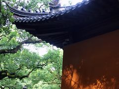 -普陀山风景名胜区-法雨禅寺
