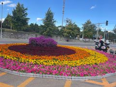 -北京西山国家森林公园