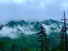 -黄龙山原始森林景区