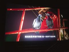 -博纳国际影城(铜锣湾激光巨幕杜比店)