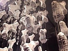 iphone_upload_pic-NIKE LAB X158(新乐路店)