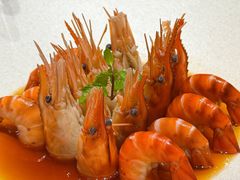 -悦江(梅奔中心店)