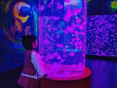 -顺德南宏海立方海洋公园