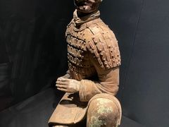 -陕西历史博物馆