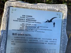 -自然谷恐龙园