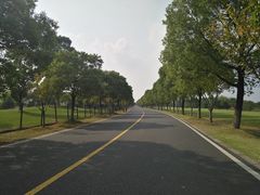 -漕湖湿地公园
